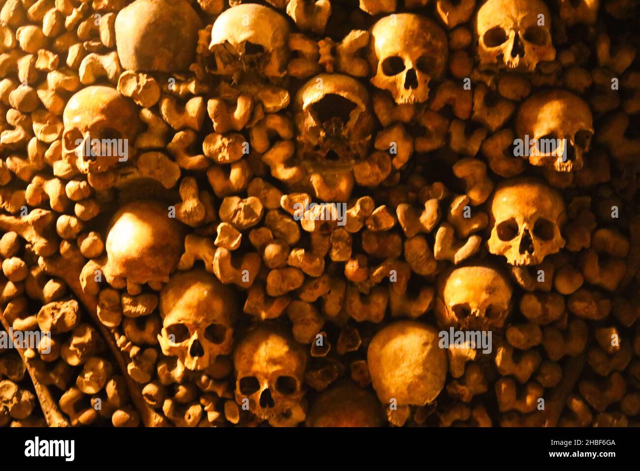 Ossa e scafi nelle catacombe di Parigi Foto Stock