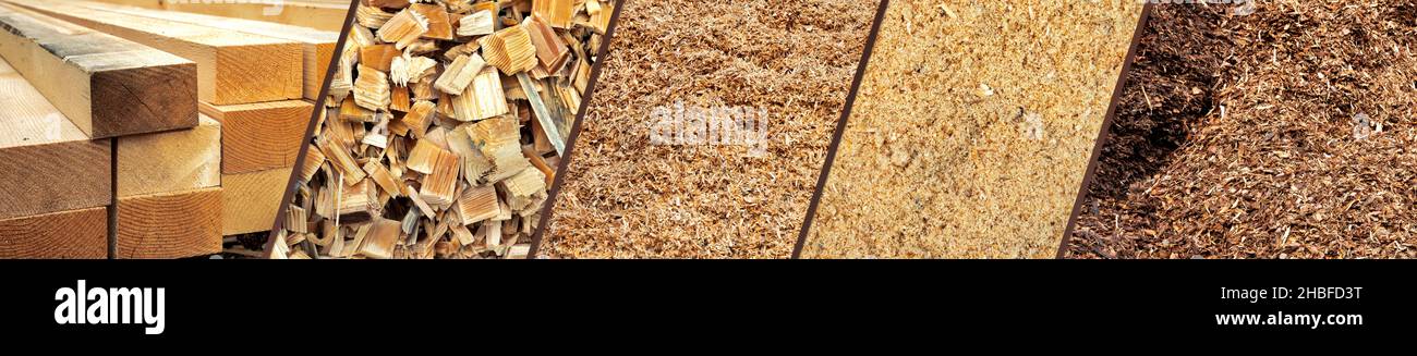 Travi di legno, segatura e trucioli di legno chiaro primo piano in officina del carpentiere dopo la lavorazione di legno segato. Legno dopo lavorazione primo piano Foto Stock