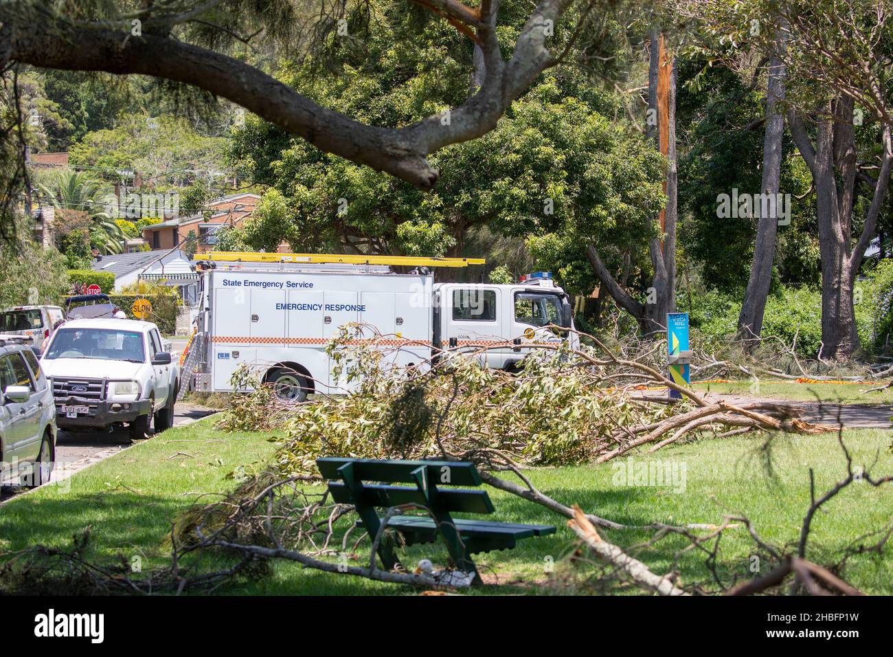 Giorno dopo che il mini ciclone ha devastato enormi aree della comunità delle spiagge settentrionali di Sydney tra Mona vale e Forestville, uccidendo una signora di 68 anni, i volontari del servizio di emergenza statale (SES) assistono con la pulizia intorno al lago Narrabeen, ripulendo gli alberi e contribuendo a ripristinare l'accesso per i residenti. Martin Berry @ alamy live news. Foto Stock