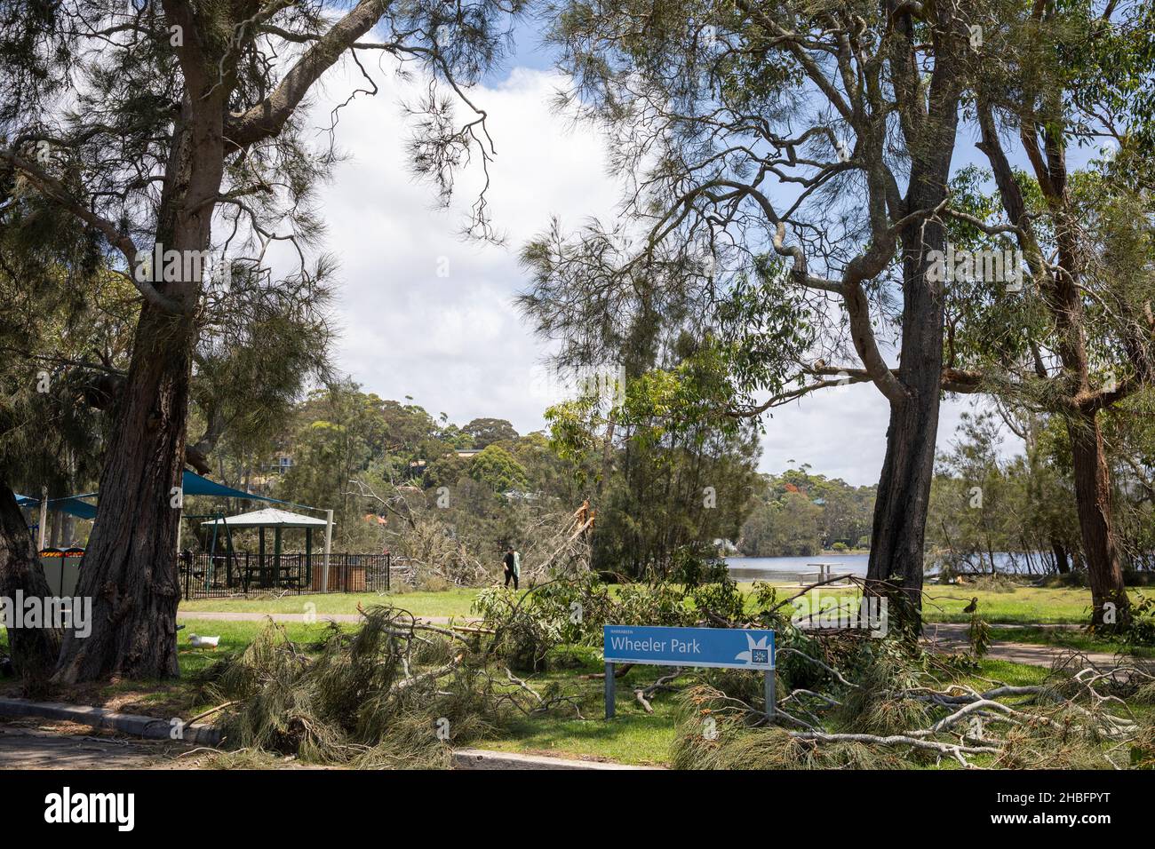 Il ciclone min porta danni alla proprietà e alberi caduti a Narrabeen sulle spiagge settentrionali di Sydney, NSW, Australia Foto Stock