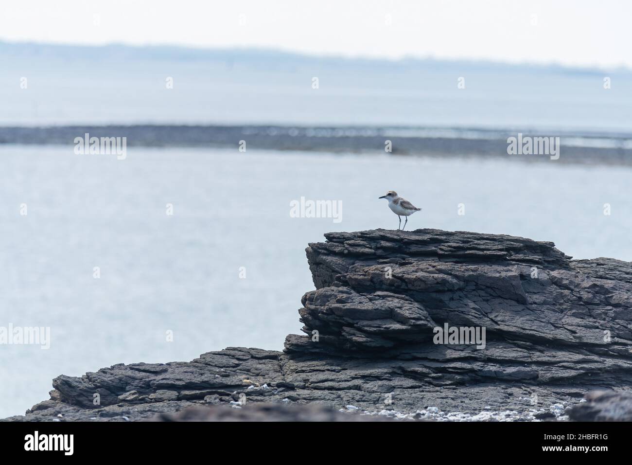 Vista soleggiata del paesaggio di Kueibishan a Penghu, Taiwan Foto Stock