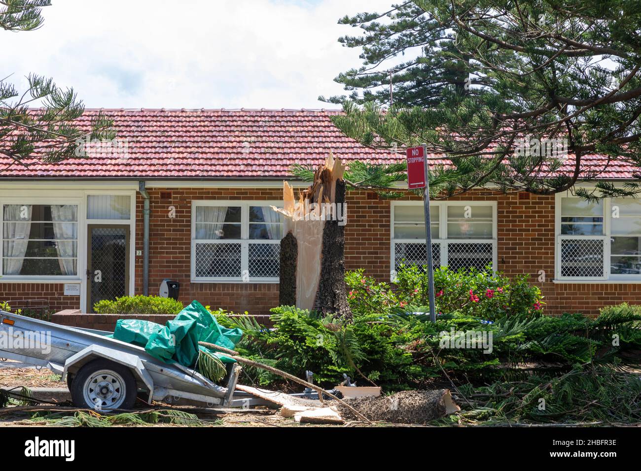 Il ciclone min porta danni alla proprietà e alberi caduti a Narrabeen sulle spiagge settentrionali di Sydney, NSW, Australia Foto Stock