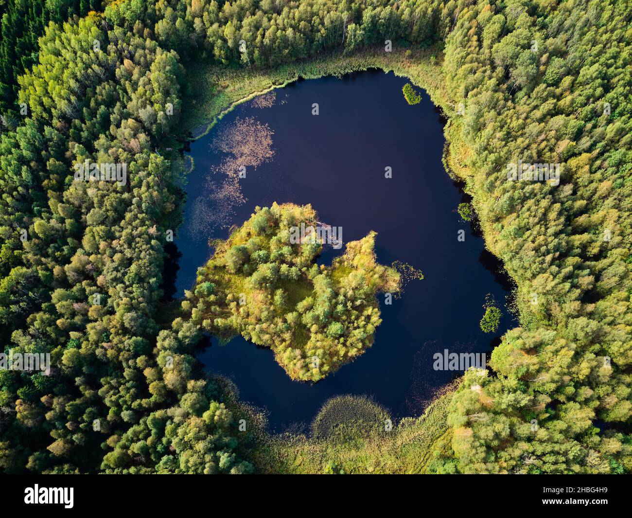 Una vista da un'altezza grande ad un lago bello nel mezzo di una foresta verde, un lago sul sito dell'ex miniera di torba Foto Stock