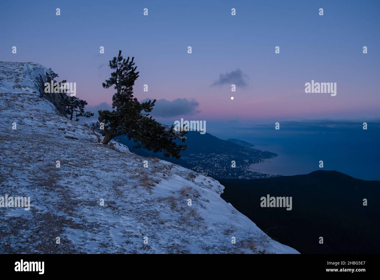 Cielo viola a luna piena. La bella ombra del colore del 2022 è molto Peri. La silhouette di alberi di conifere. Paesaggio futuristico naturale luminoso. Foto Stock