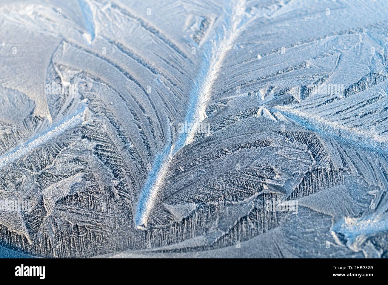 Hoarfrost forma anche splendidi ornamenti Foto Stock