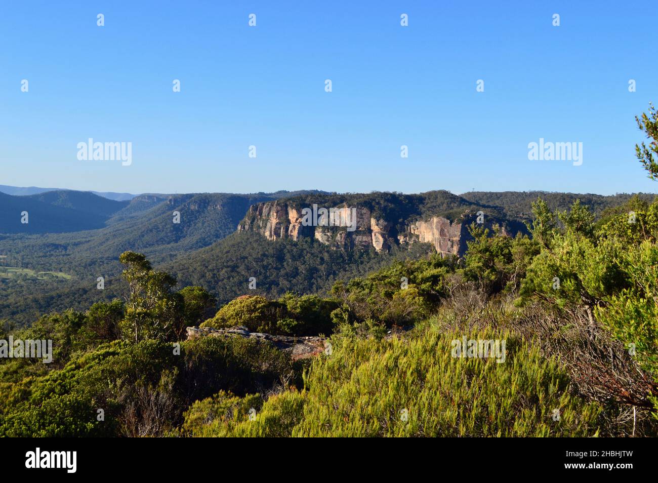 Una vista dalle pareti Ledge sul altopiano superiore Shipley a Blackheath nelle Blue Mountains d'Australia Foto Stock