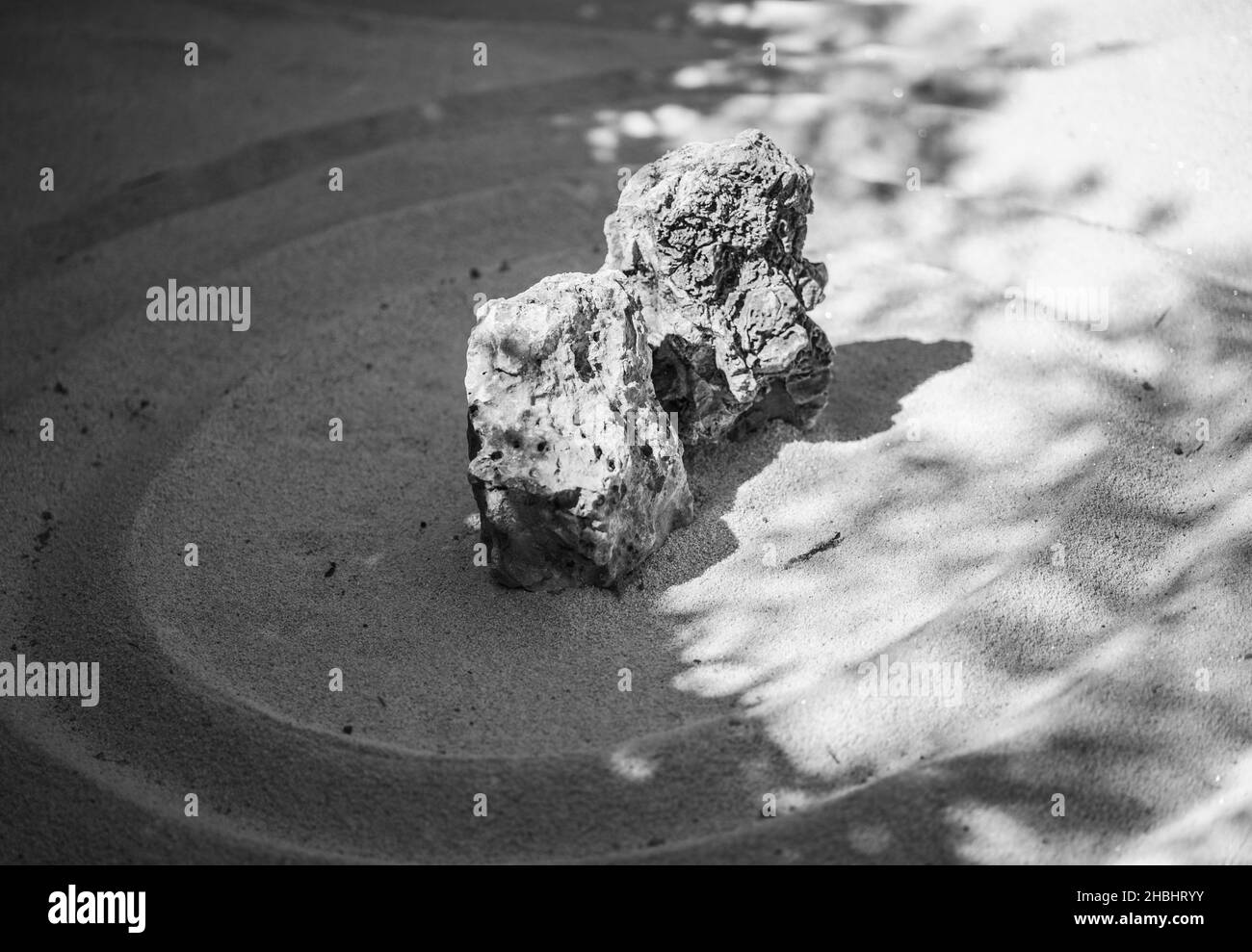 Pavimento roccioso Foto e Immagini Stock in Bianco e Nero - Alamy