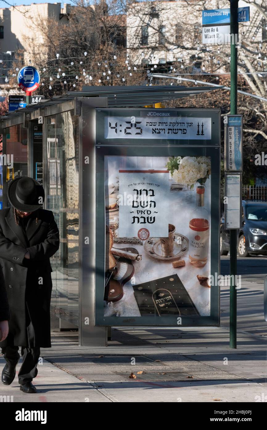 Un chiosco di autobus JC Decaux con un annuncio ebraico per il vino Kosher e notizie del prossimo Sabbath's candela illuminazione tempo & Torah lettura. A Williamsburg, New York Foto Stock