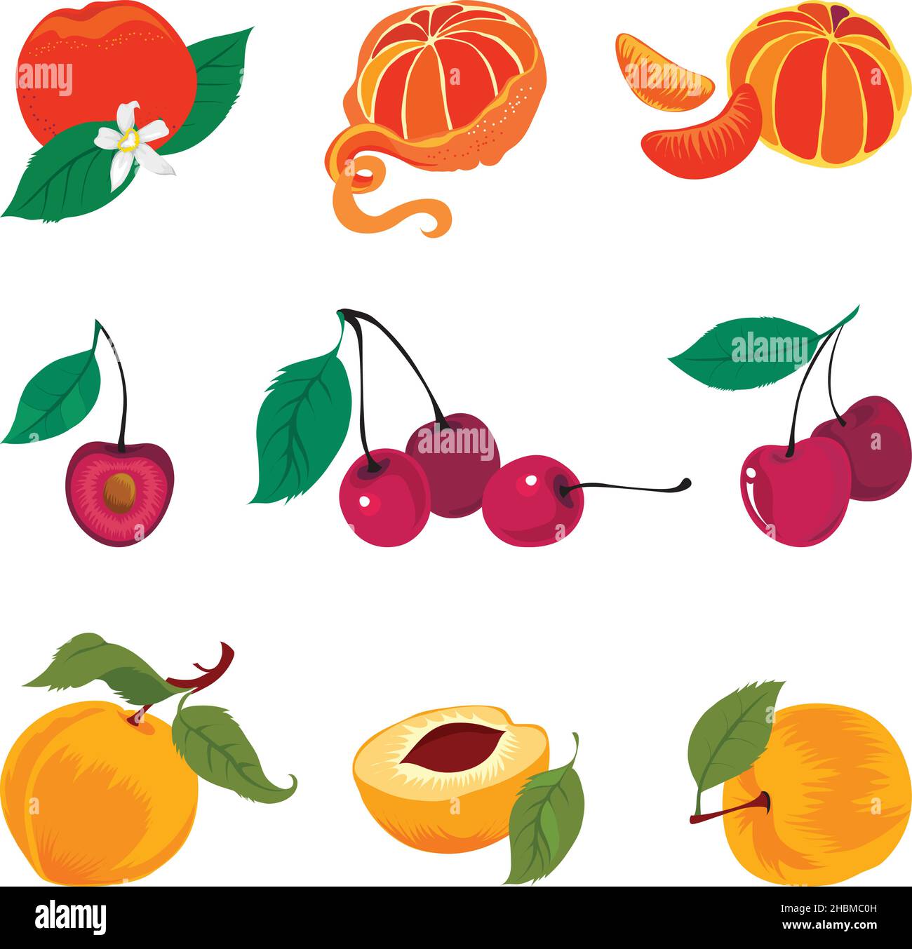 Set di frutta fresca Illustrazione Vettoriale