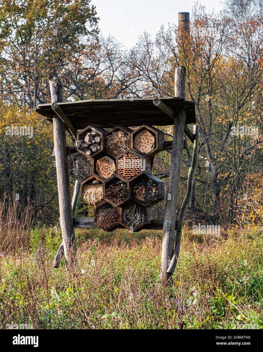 Breeeding box per insetti nel piccolo parco naturale, am Burgerpark, Niederschönhausen-Pankow, Berlino Foto Stock