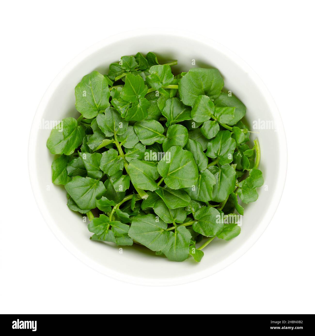 Foglie di crescione, in una ciotola bianca. Giallo fresco, Nasturzio officinale. Ortaggi a foglia dal sapore piccante. Vegetali o erbe acquatiche. Foto Stock