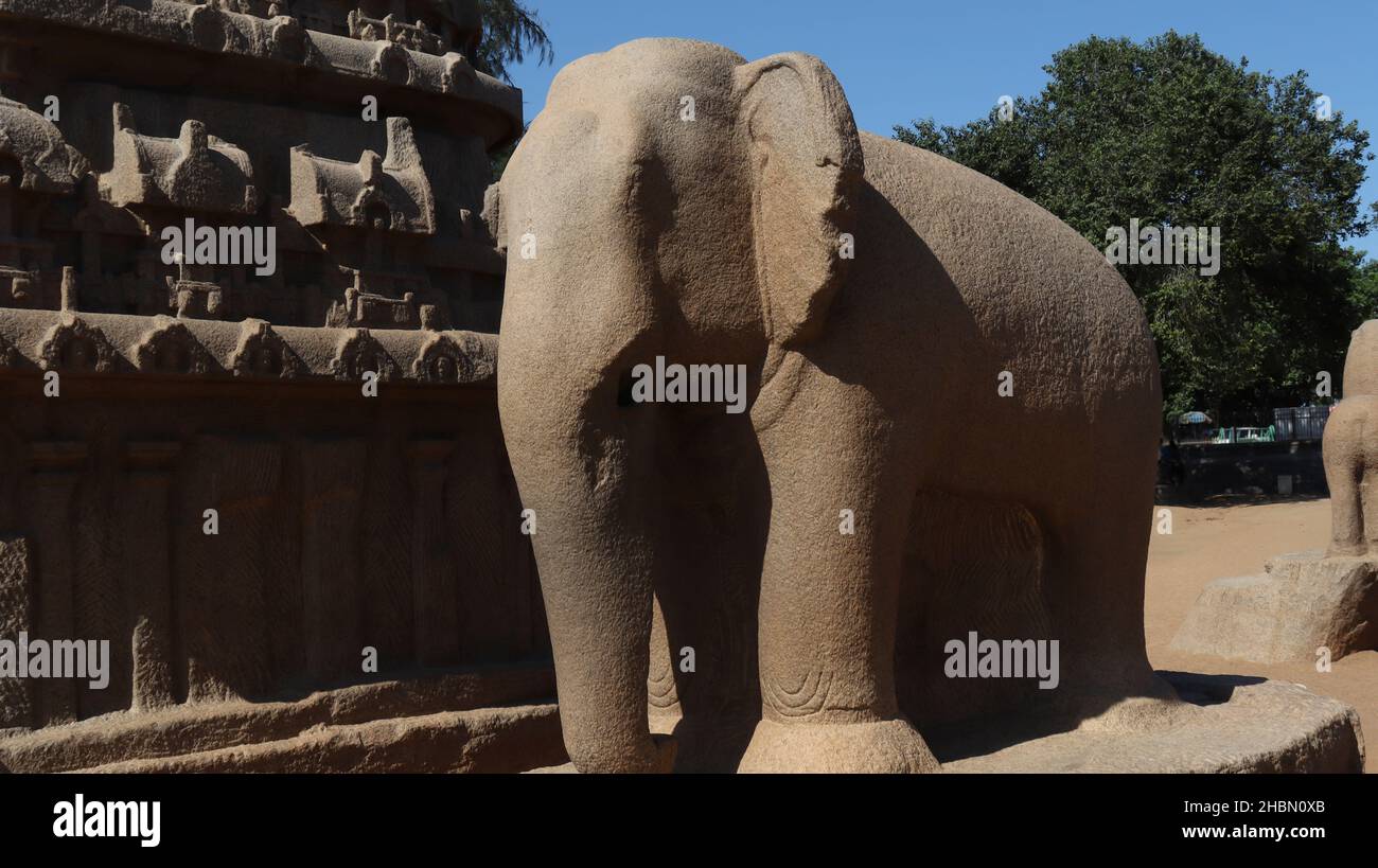Scultura in pietra di un elefante scolpito in un'unica roccia. Nel mezzo della roccia e della natura. Foto Stock
