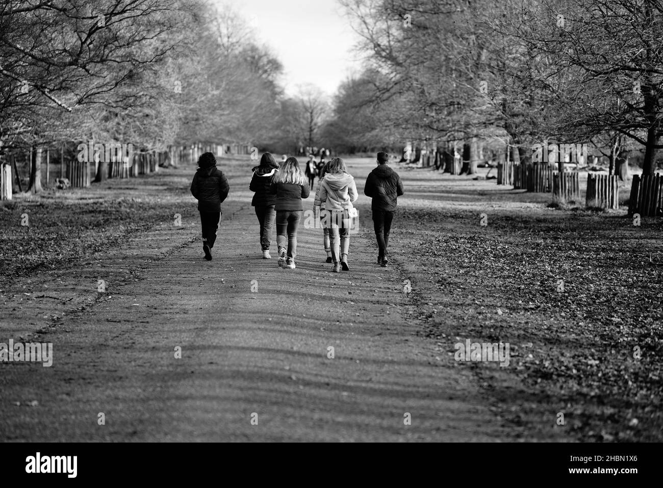gruppo di giovani adulti che camminano lungo il sentiero nel parco di campagna Foto Stock