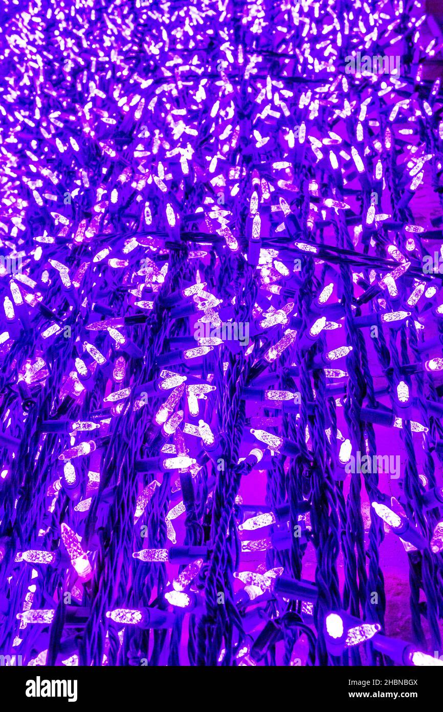 immagine astratta di fata viola o luci scintillanti Foto Stock