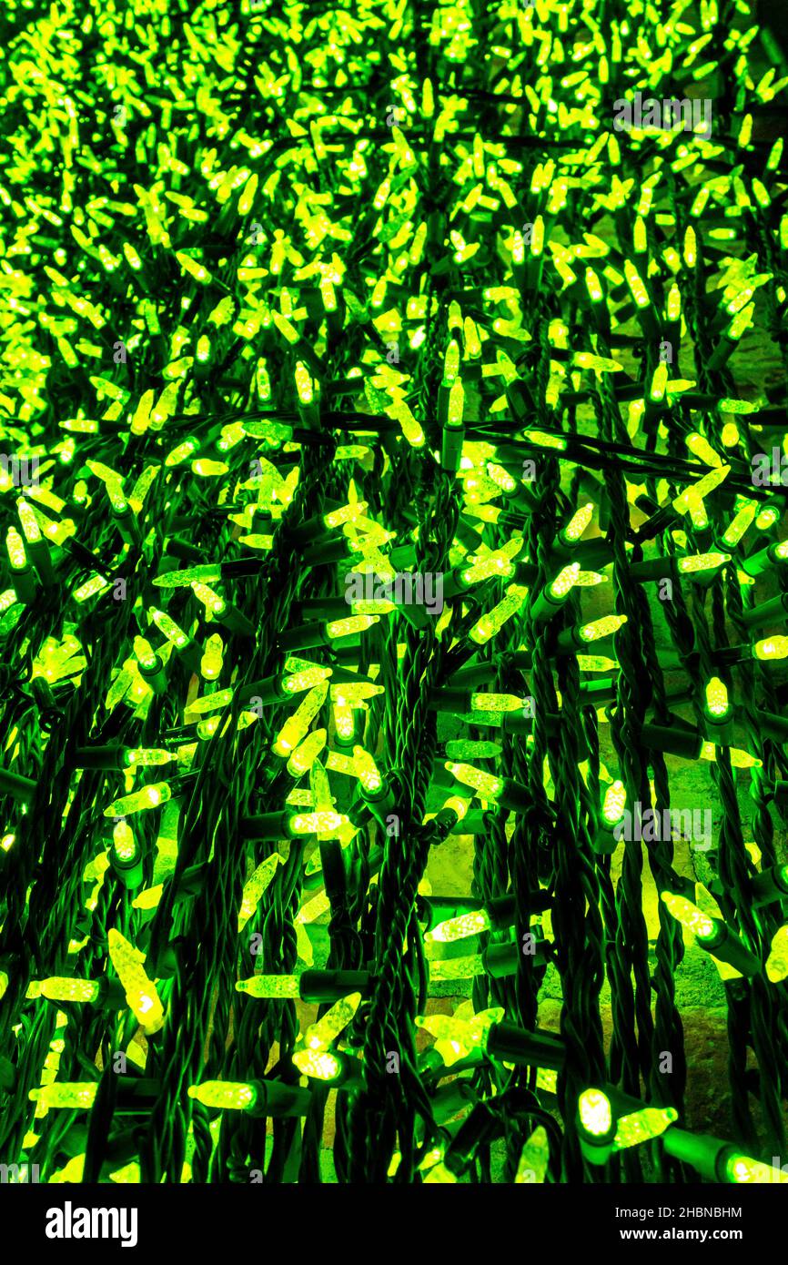 immagine astratta di fata verde o luci scintillanti Foto Stock