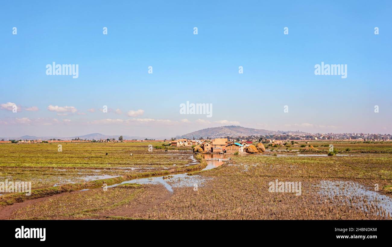 Scenario tipico durante il giorno di sole vicino alla capitale del Madagascar, case su piccole colline sfondo, campi di riso bagnato in primo piano Foto Stock