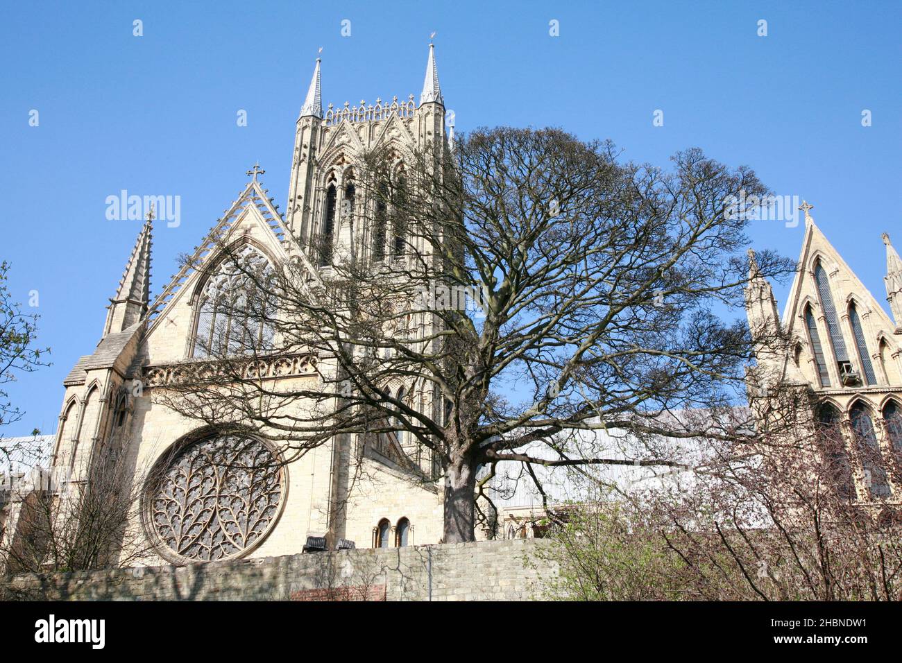 Cattedrale di Lincoln nel sole primaverile Foto Stock