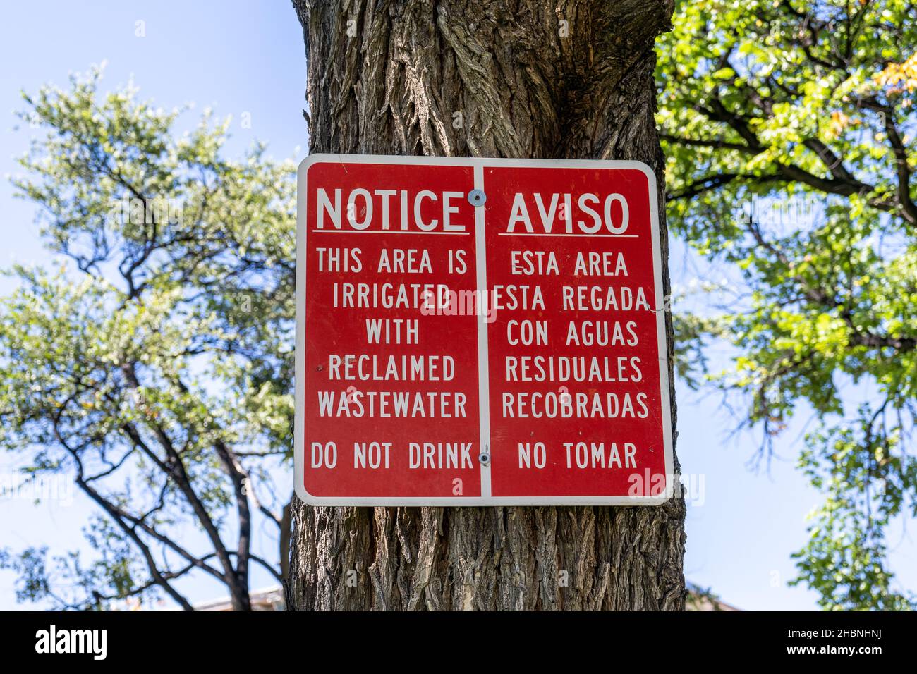 Avviso pubblicato su un albero che dice che l'area è irrigata con acque reflue rigenerate e non bere in spagnolo e inglese Foto Stock