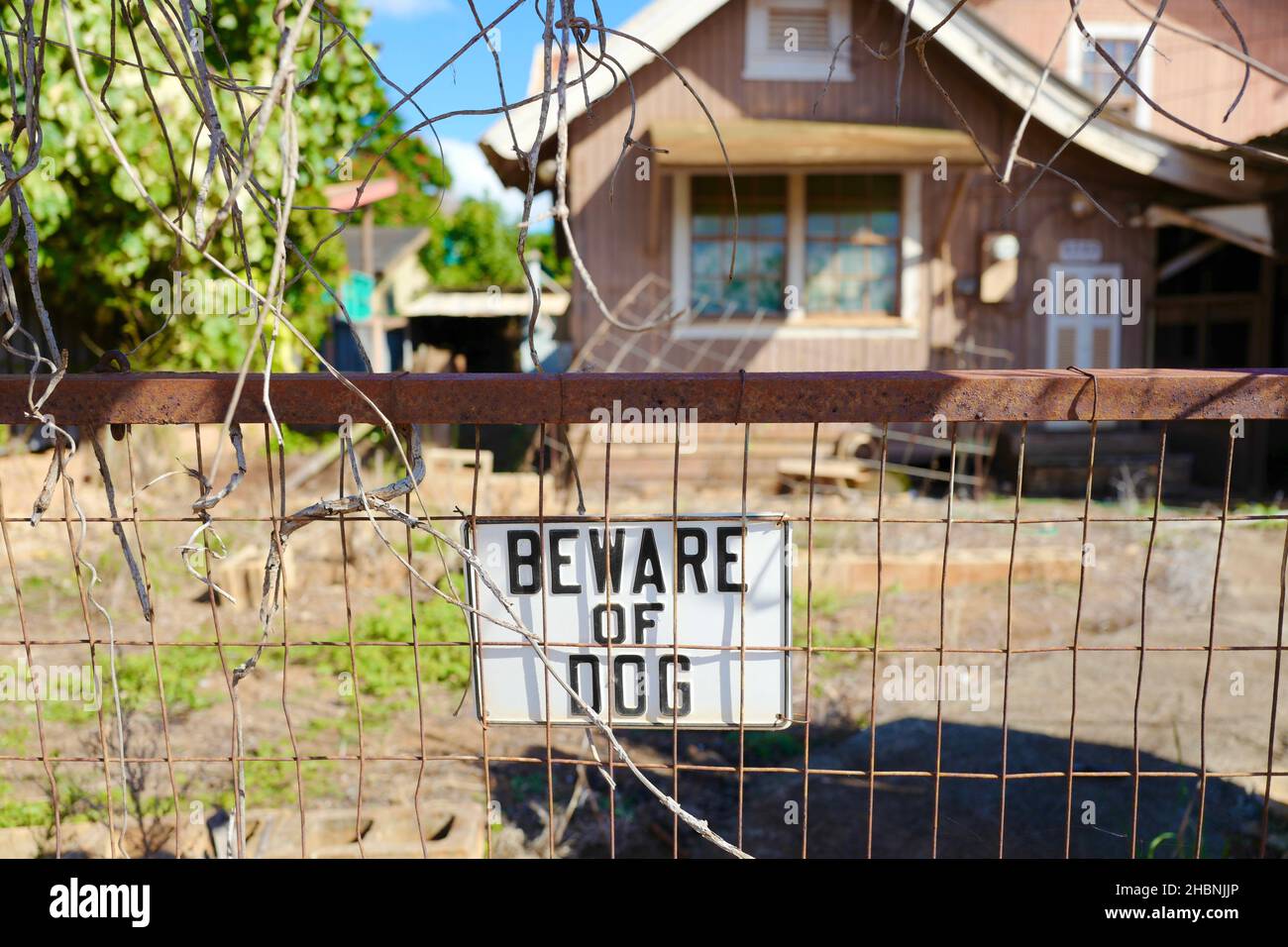 Attenzione ai cani segno in Hanapepe su Kauai Foto Stock