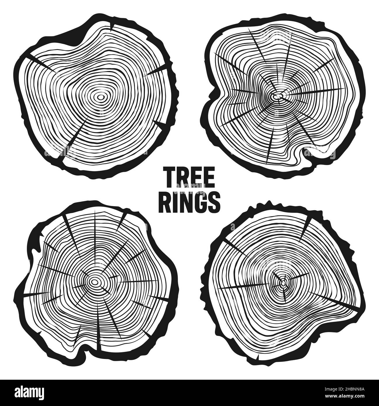 Tagli di tronco di albero tondo con crepe, segato pino o fette di quercia, legname. Legname tagliato da poco, legno. Tessitura di legno con anelli di albero. Schizzo disegnato a mano. Vettore Illustrazione Vettoriale