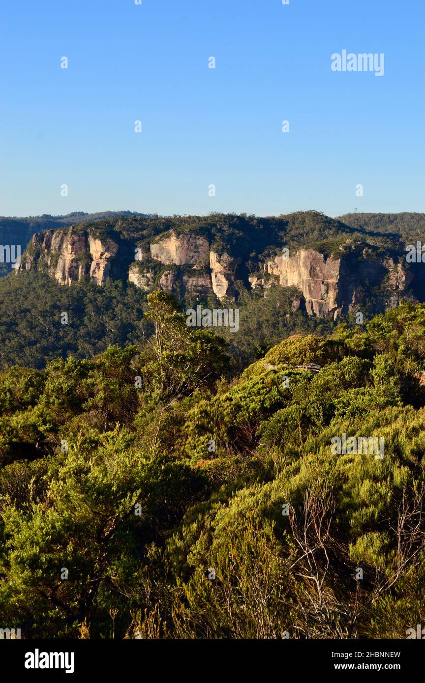 Una veduta dell'Altopiano di Shipley mentre sulle pareti camminano lungo le Blue Mountains dell'Australia Foto Stock