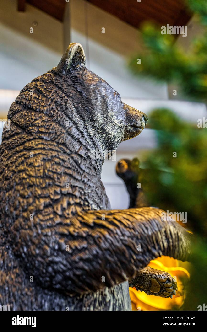Statua di bronzo di orso nero nel Centro Naturale della montagna di Grandfather nelle Blue Ridge Mountains del North Carolina. Foto Stock