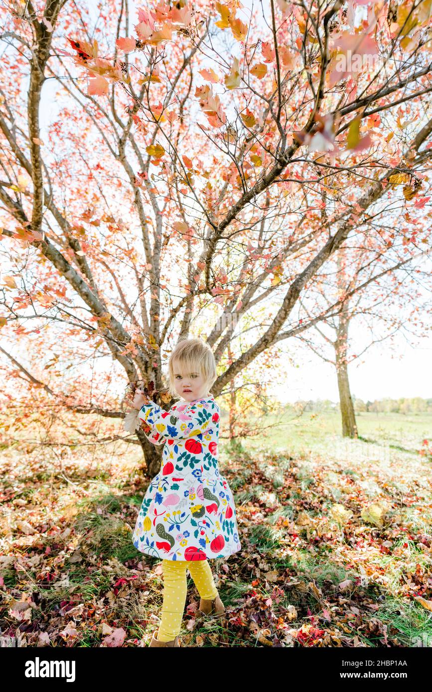 Diritto sul ritratto di un bambino di fronte ad un albero di acero Foto Stock