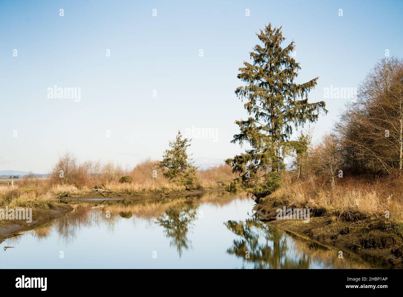 Vista grandangolare di Union Slough nel Delta Snohomish Foto Stock