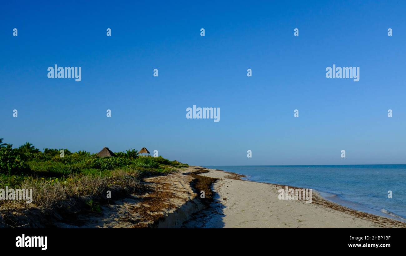Spiaggia, Yucatan, Messico Foto Stock