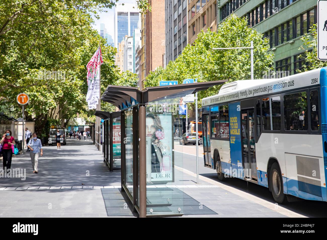 Autobus di Sydney in una fermata di autobus in York Street, centro città di Sydney, con pubblicità sulla fermata degli autobus, centro città di Sydney, Australia Foto Stock