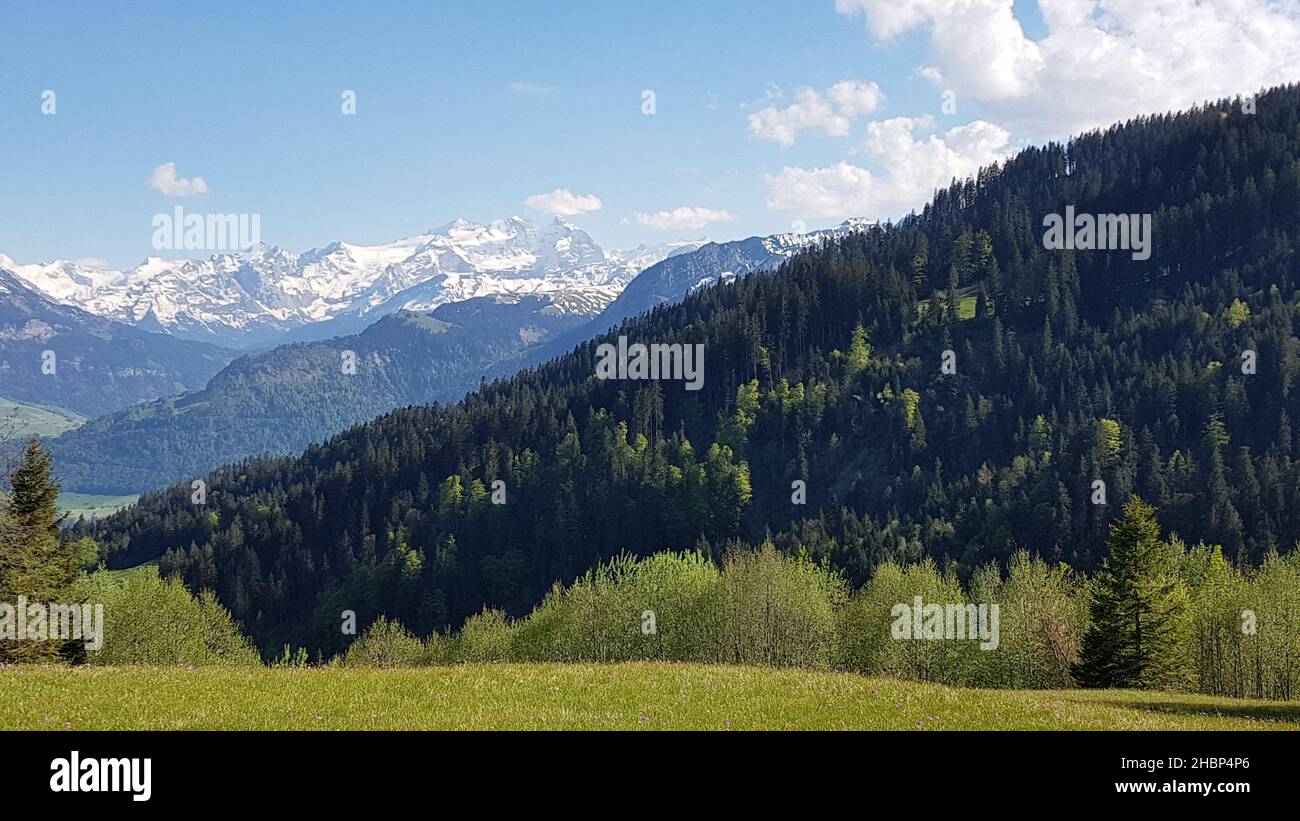 Una vista ipnotica di alberi di pelliccia e montagne innevate con un cielo blu a Sarnen, Svizzera Foto Stock