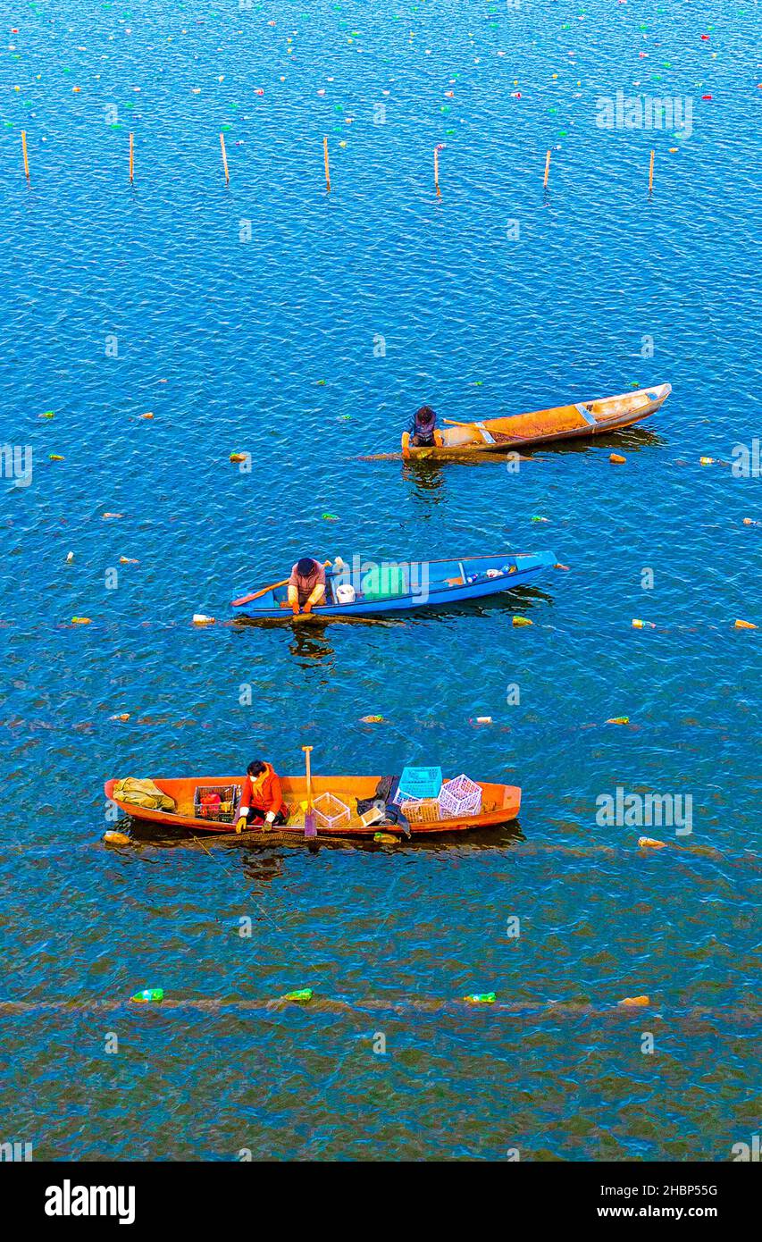 SUQIAN, CINA - 20 DICEMBRE 2021 - i coltivatori di Mussel guidano le barche caricate con le mitili della perla per farli cadere sulla superficie dell'acqua di un serbatoio in Suqian ci Foto Stock