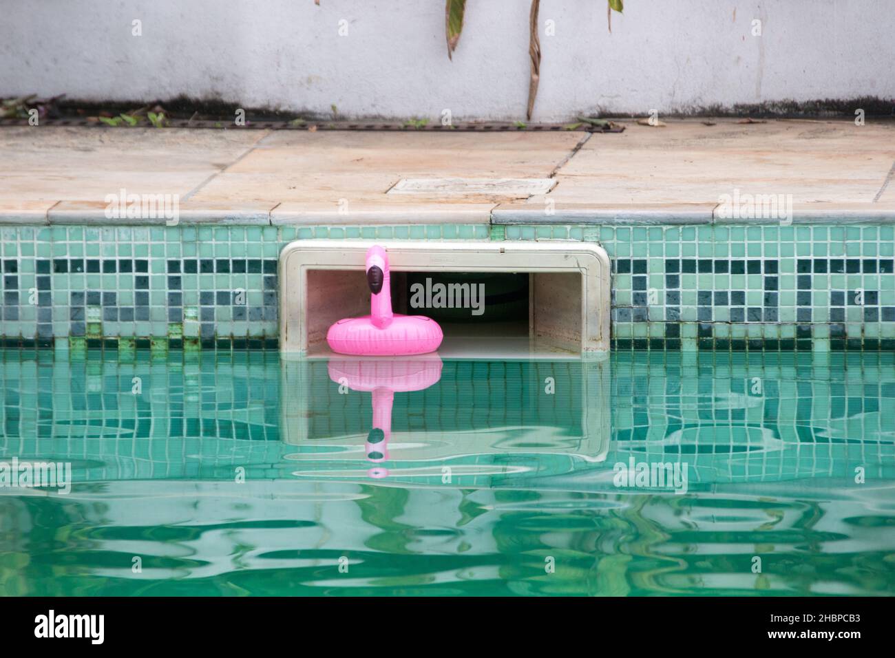 flamingo gonfiabile in una piscina a rio de janeiro. Foto Stock