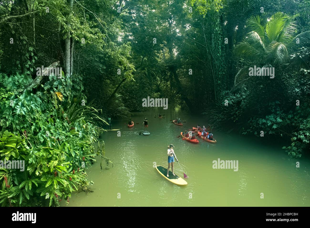 Kayak e standup pagaiare nella giungla, Puerto Viejo, Costa Rica Foto Stock