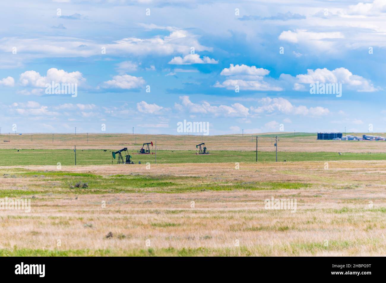 Pompe di olio tra campi agricoli nelle praterie, Alberta, Canada Foto Stock