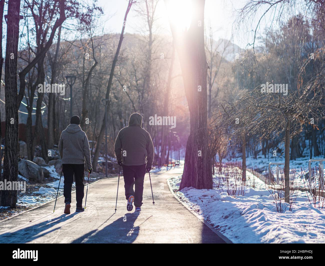 Gli uomini sono impegnati in Nordic Walking in un parco invernale. Attività ricreative fitness e stile di vita sano all'aperto nella natura. Motivazione e ispirazione invernale l Foto Stock