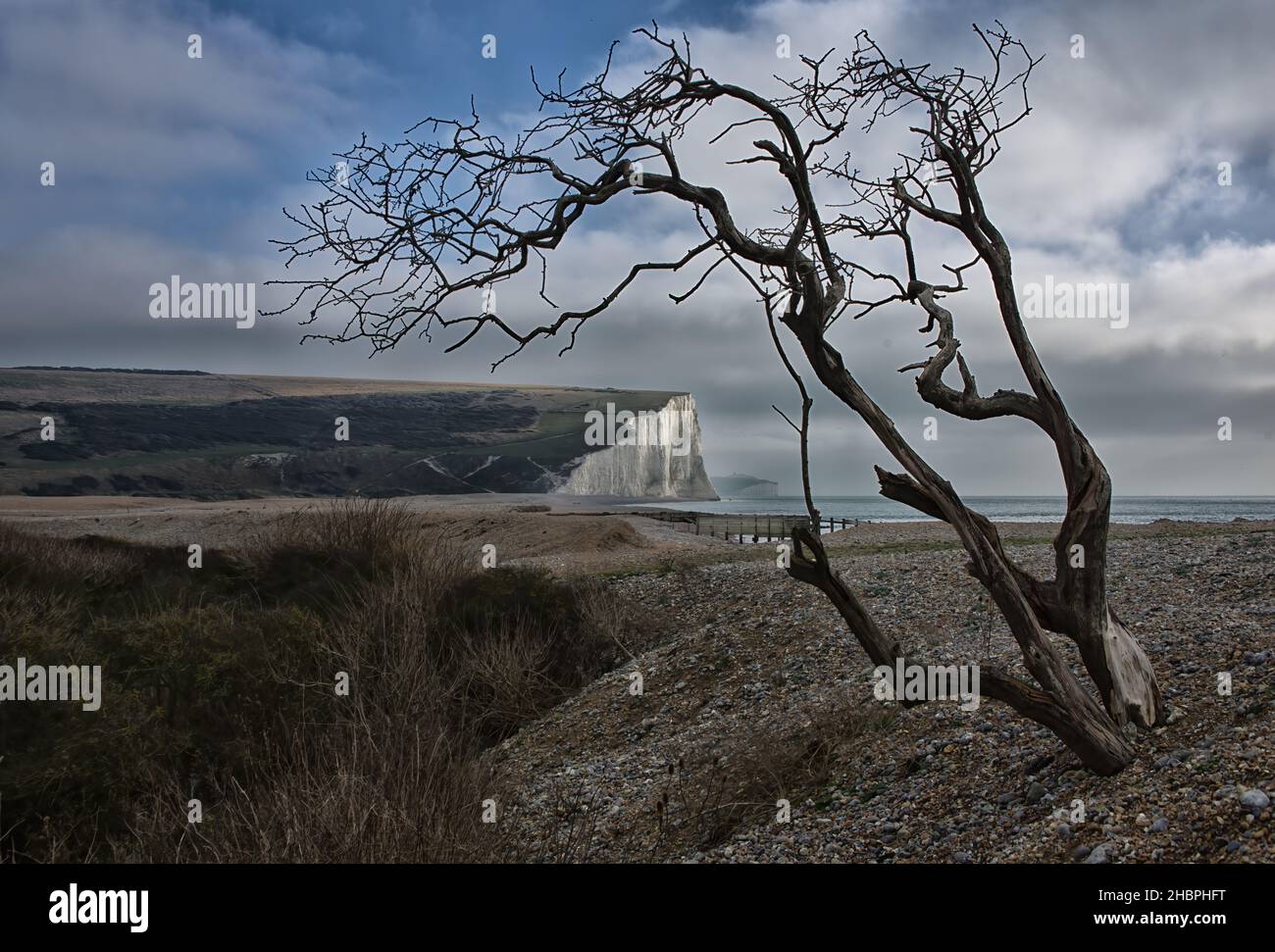 sette sorelle paesaggio girato con albero Foto Stock