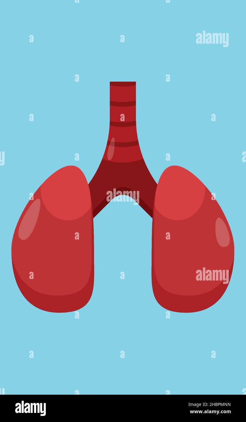 Icona polmoni. Illustrazione colorata di polmoni umani isolati su sfondo blu. Illustrazione Vettoriale