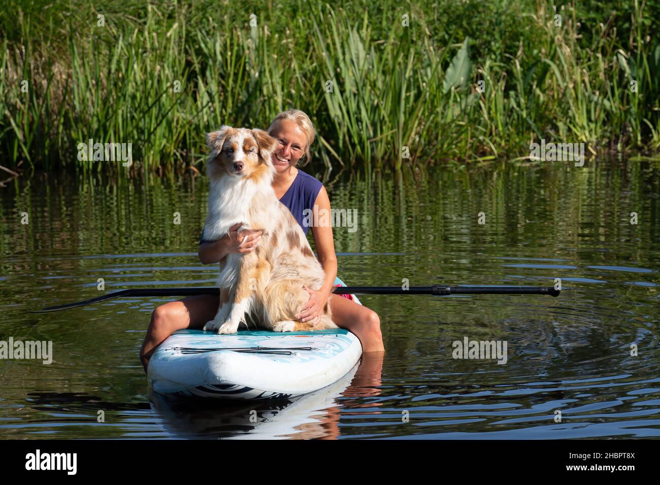 Peize, Olanda 16 luglio 2021: Una donna in scatola in una t-shirt con fondo bikini su una tavola sup. Con un cane Pastore australiano. Pagaiando sul Foto Stock