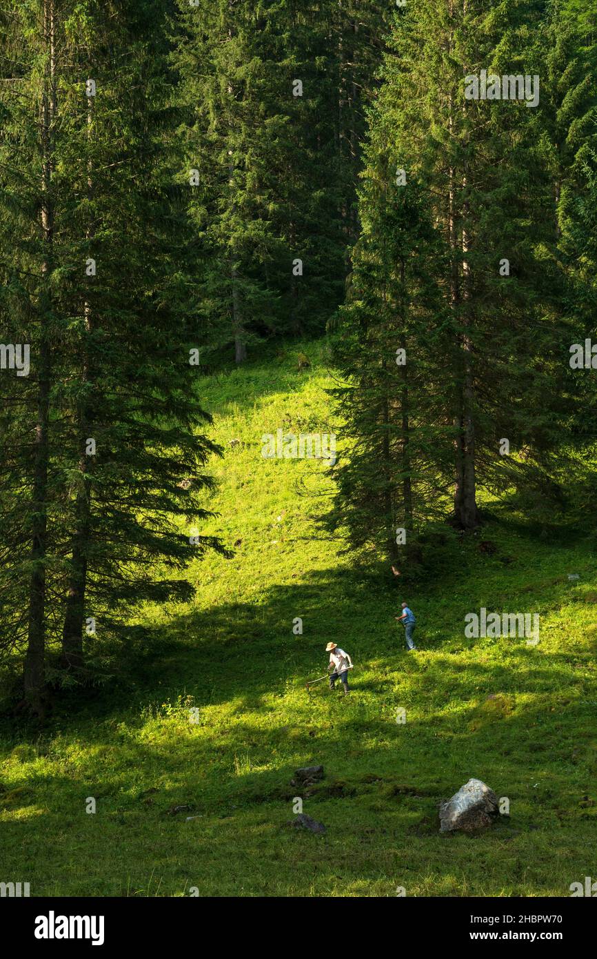 Svizzera, San Gallo, Grabs, Voralp, agricoltori locali *** Località *** Svizzera, San Gallo, Grabs, Voralp, paesaggio, alpi, svizzere, montagne, Foto Stock