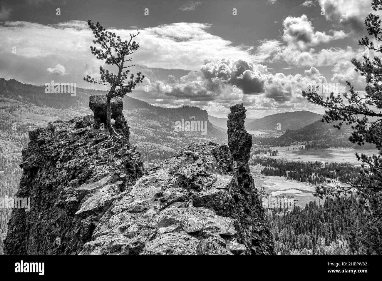 USA, Montagne Rocciose, Pagosa Springs, Wolf Creek Pass - Overlook, Highway 160 *** Local Caption *** USA, Montagne Rocciose, Pagosa Springs, Wolf Creek Foto Stock