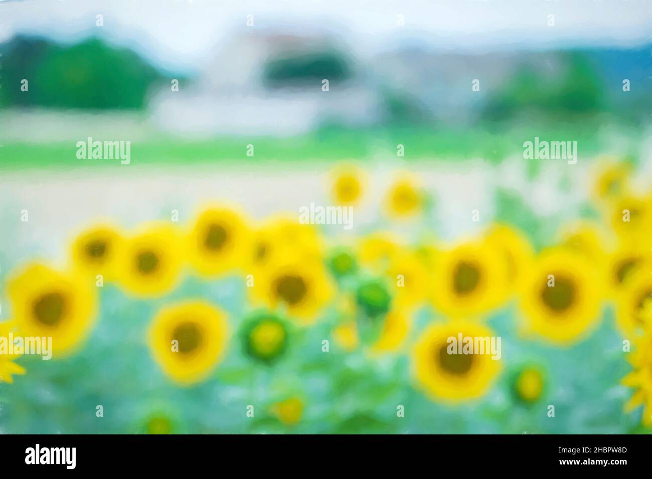 Francia, Provenza, Impression *** Località *** Europa, Francia, Sud, Provenza. Girasoli, Impression, impressionismo, fioritura, fiori Foto Stock