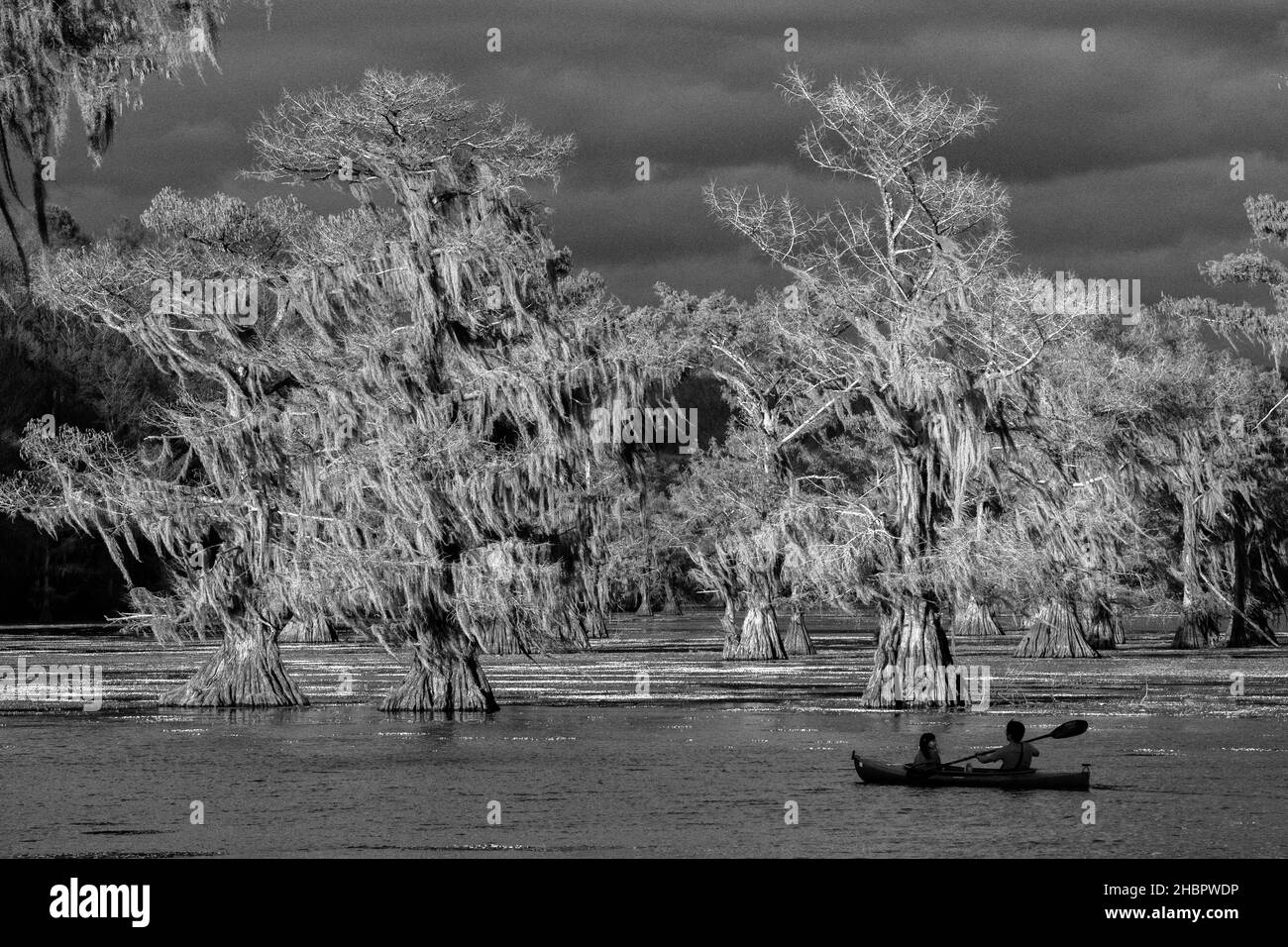 USA, Texas, lago di Caddo *** Caption locale *** USA, Texas, lago di Caddo, palude di Cypress, natura, orientale, americano, foresta, albero, cipresso, riflessione, nat Foto Stock