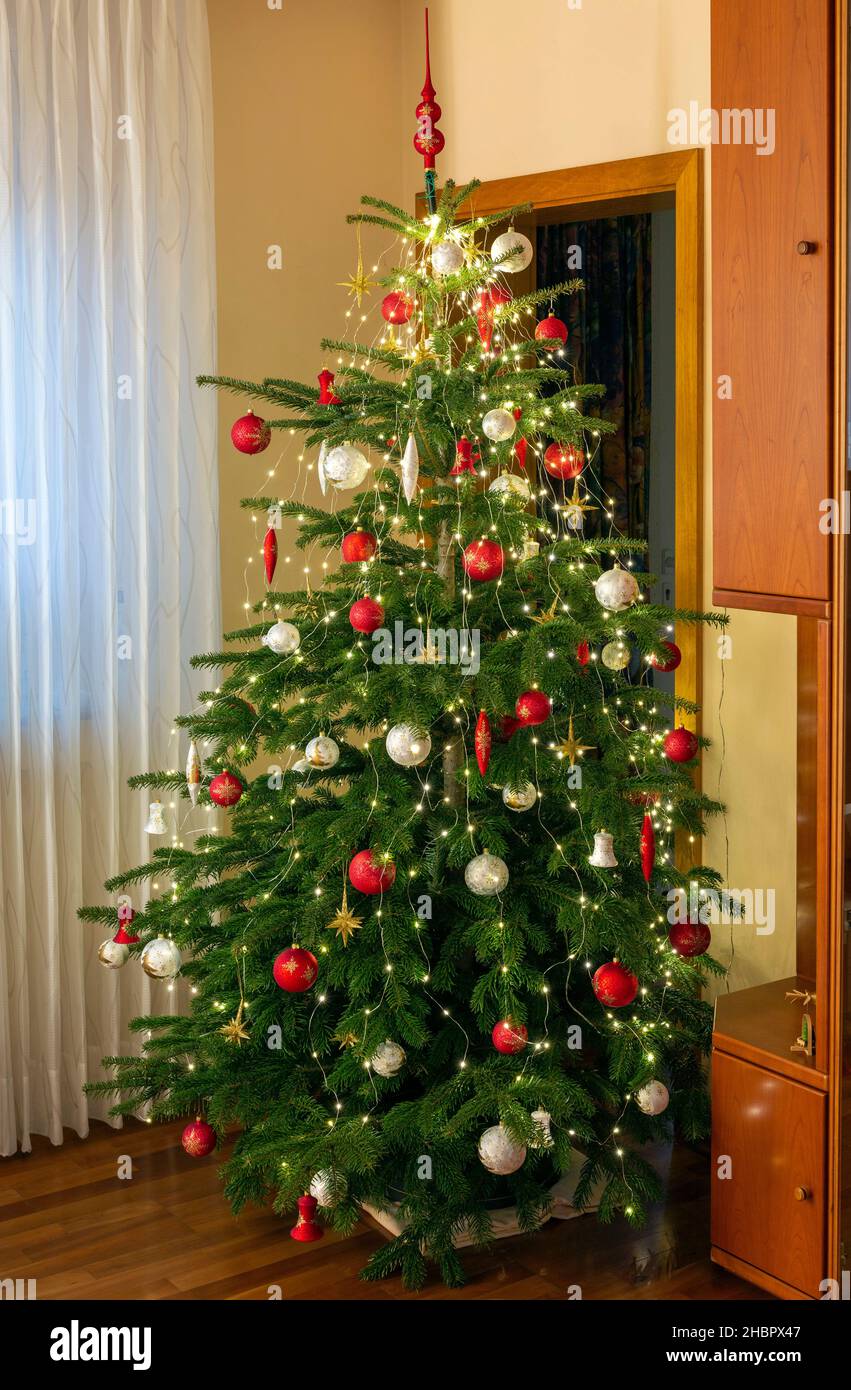 Weihnachten, Festlich dekorierter und geschmueckter Weihnachtsbaum in einem Wohnzimmer, Christbaumkugeln, Weihnachtssterne, Deutschland, Oberhausen, O Foto Stock