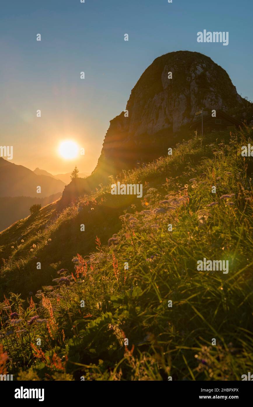 Suisse, Schweiz, Svizzera, Vaud, Waadt, Montreux, Les Rochers-de-Naye, montagnes, Berge, montagne, Lever du jour, Sonnenaufgang, alba, fleur, f Foto Stock