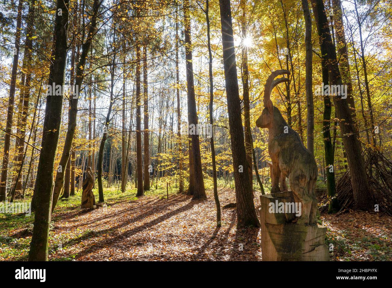Waldlehrpfad Osinger Wald - Laufen a.d. Salzach - im Herbst - geschnitzter SteinbockBayerische Staatsforsten: Der im September 2009 eröffnete Themenpf Foto Stock