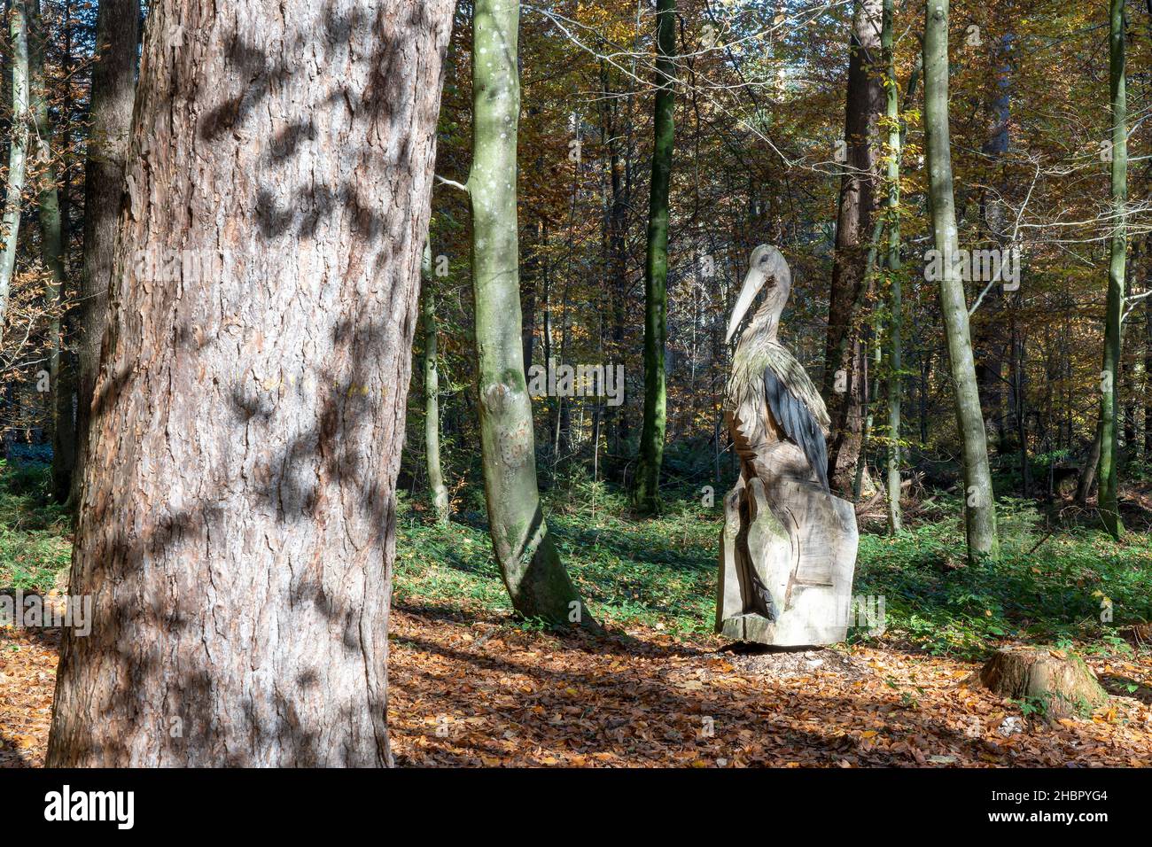 Waldlehrpfad Osinger Wald - Laufen a.d. Salzach - im Herbst Bayerische Staatsforsten: Der im September 2009 eröffnete Themenpfad 'Unser Wald im Wande Foto Stock