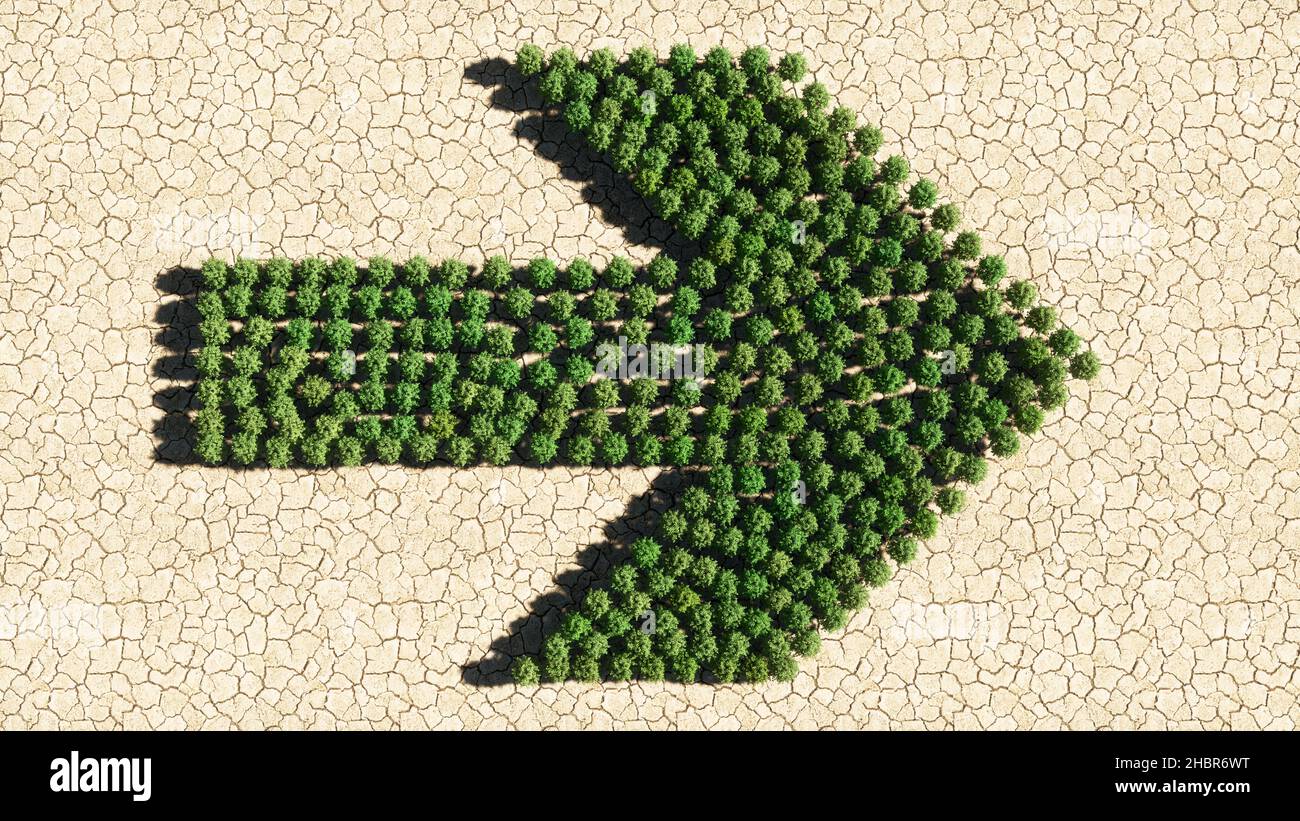 Concetto o gruppo concettuale di foresta verde albero su fondo asciutto terreno, segnaletica stradale. metafora dell'illustrazione 3d per navigazione, strategia, viaggio Foto Stock