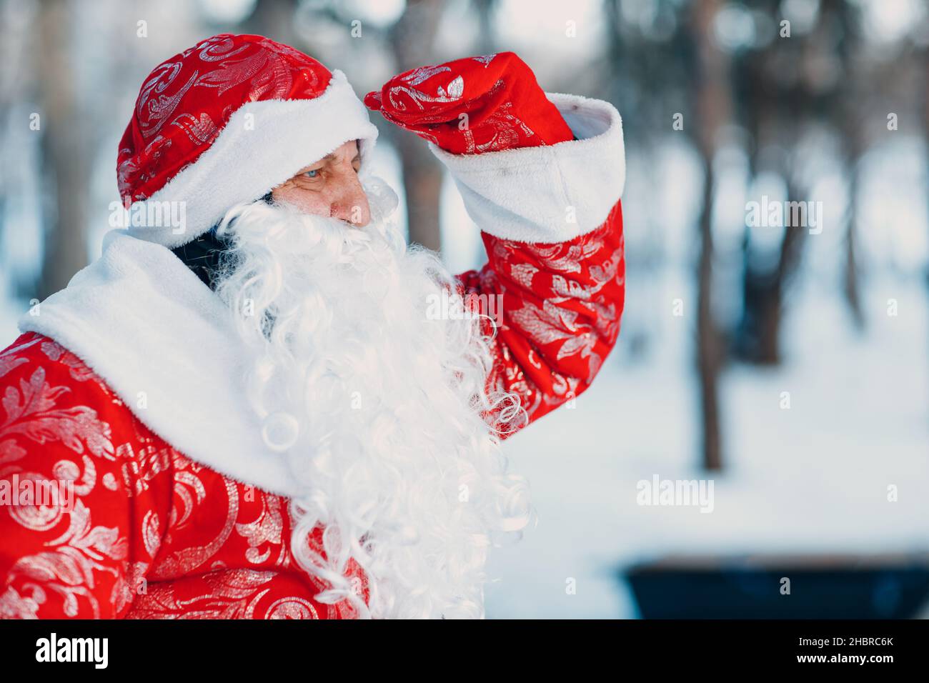 Moroz, Personaggio Di Natale Russo. Padre Gelo Con Una Borsa Di Regali in  Una Foresta Innevata. Inverno Immagine Stock - Immagine di gelo, uomo:  205092817