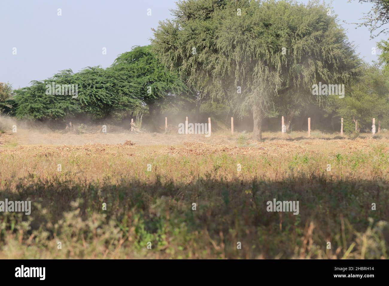 Primo piano della polvere di particelle di suolo che soffia nel vento nel campo Foto Stock
